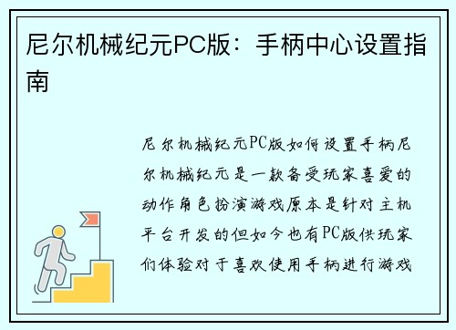 尼尔机械纪元PC版：手柄中心设置指南